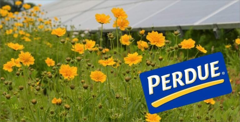 Perdue Farms