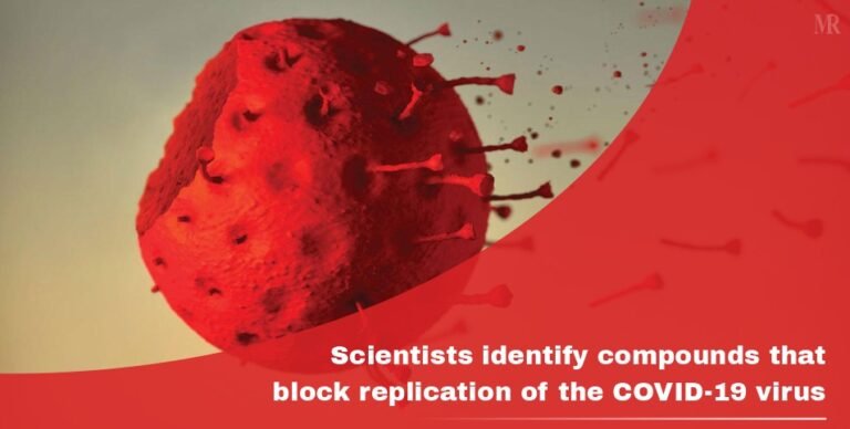 coronavirus replication