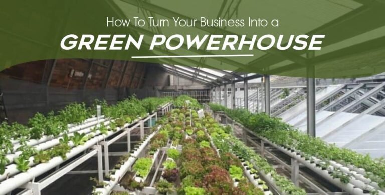 how-to-turn-your-business-into-a-green-powerhouse