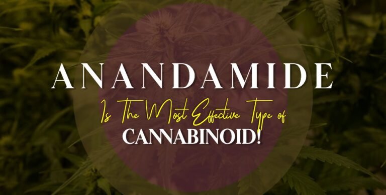 Anandamide