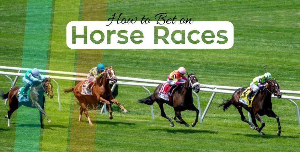 How to bet on horse races