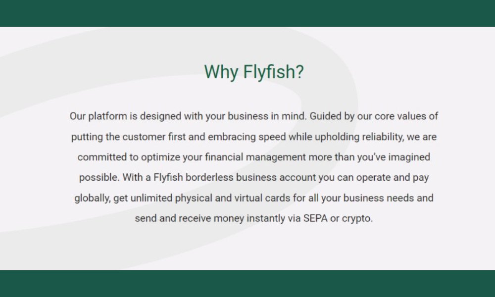 Flyfish-Review-–-Offering-IBAN-services-for-Businesses