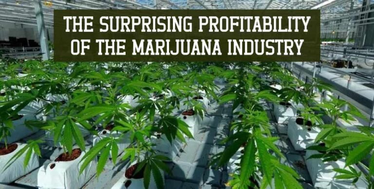 The-Surprising-Profitability-of-the-Marijuana-Industry