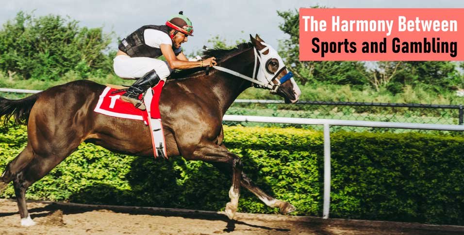 The-Harmony-Between-Sports-and-Gambling