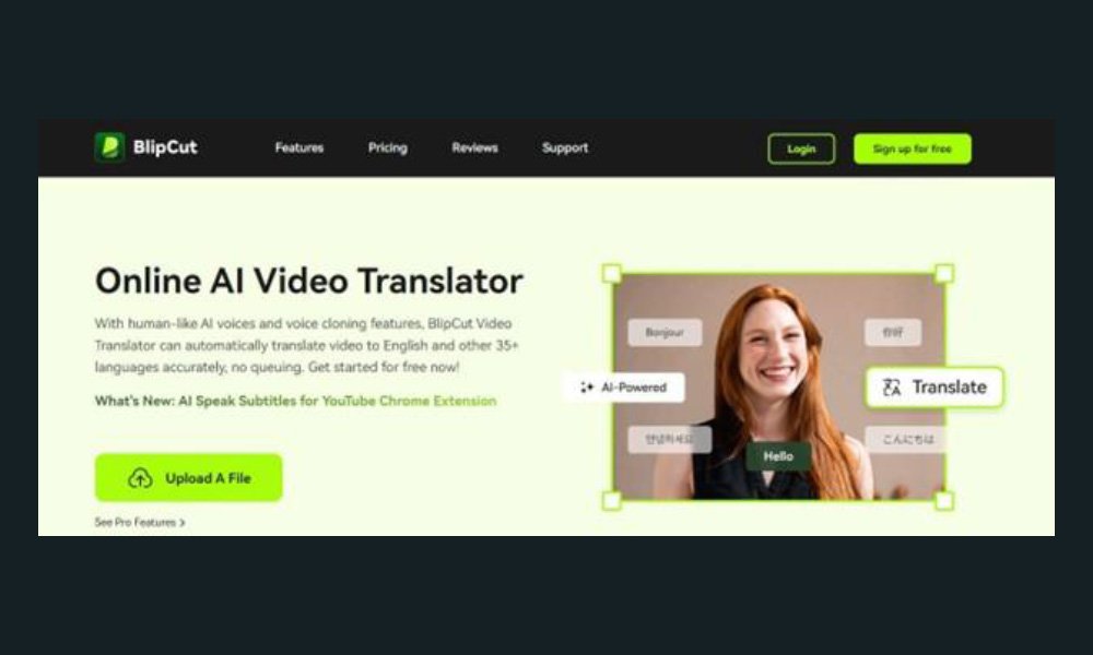 BlipCut AI Video Translator