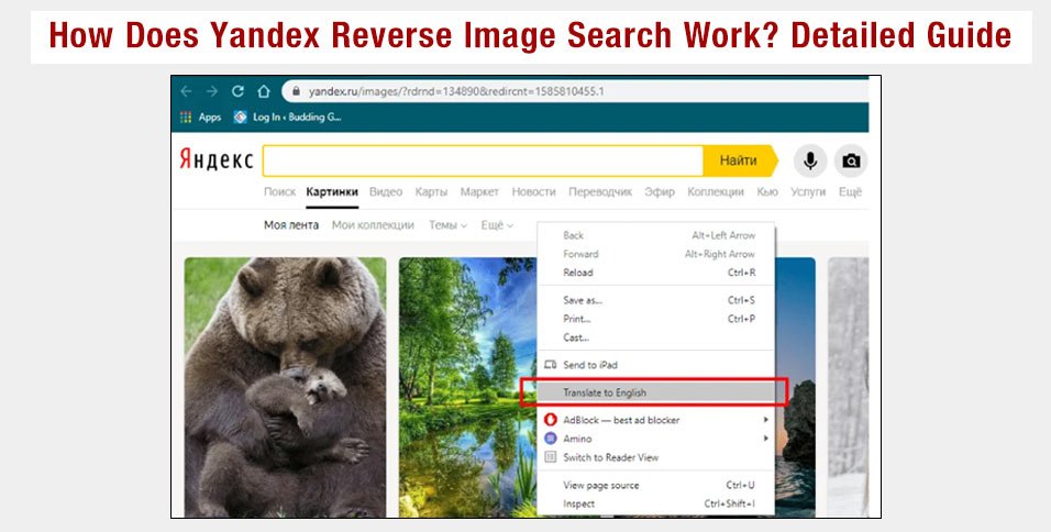 How to Use Yandex Reverse Search for an Image?