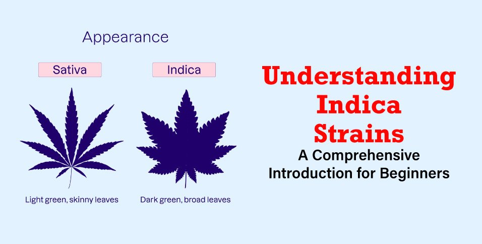 Indica Strains