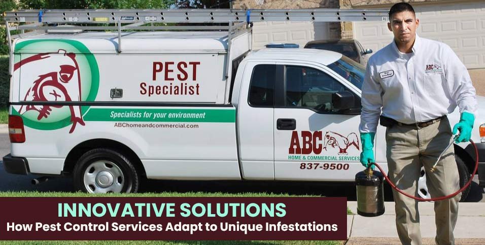 Pest Control Services