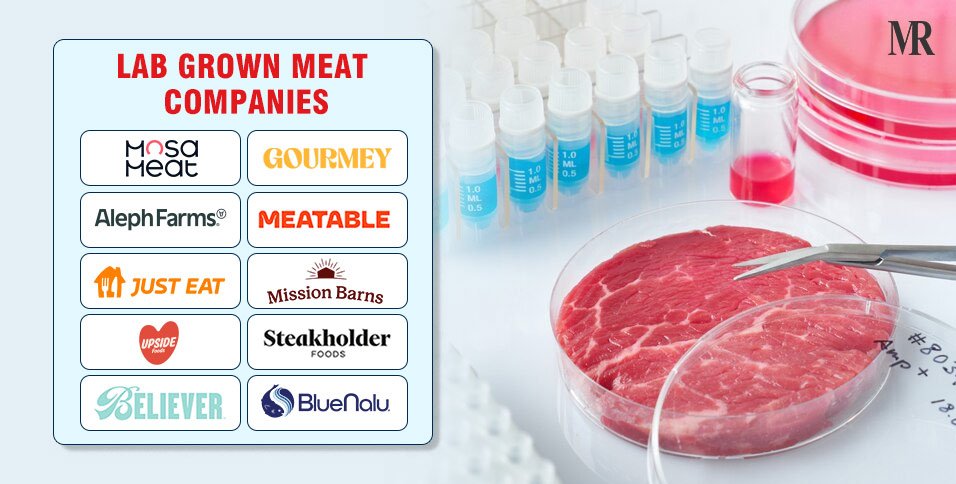 Lab-Grown Meat Companies