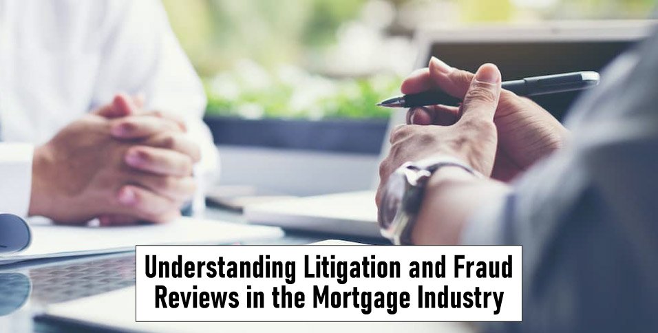 Litigation and Fraud Reviews