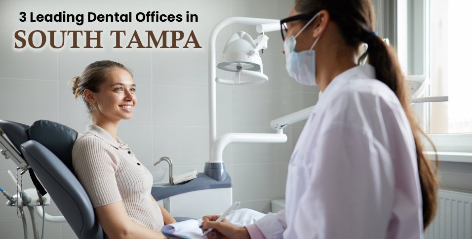 Dental Offices in South Tampa