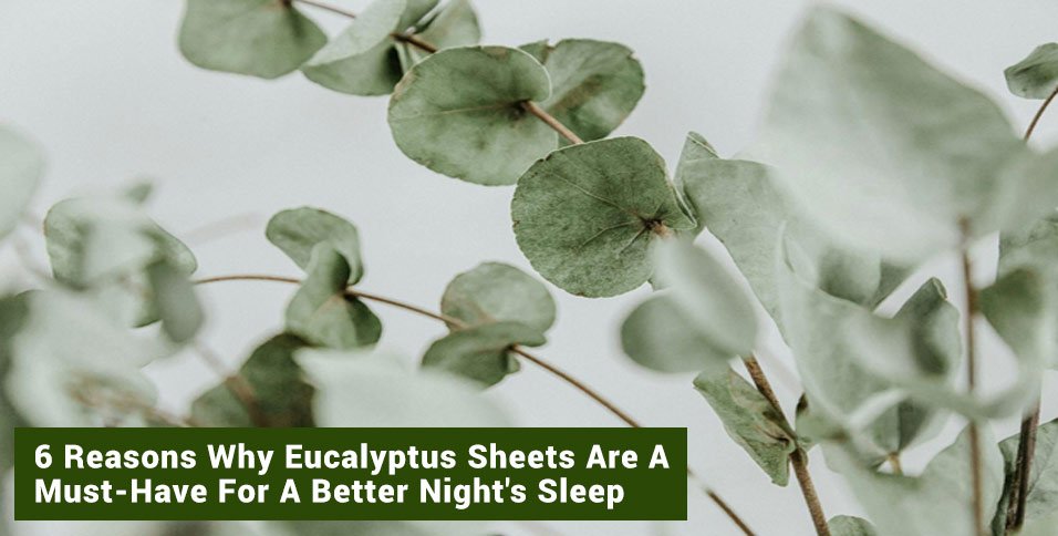 Eucalyptus Sheets