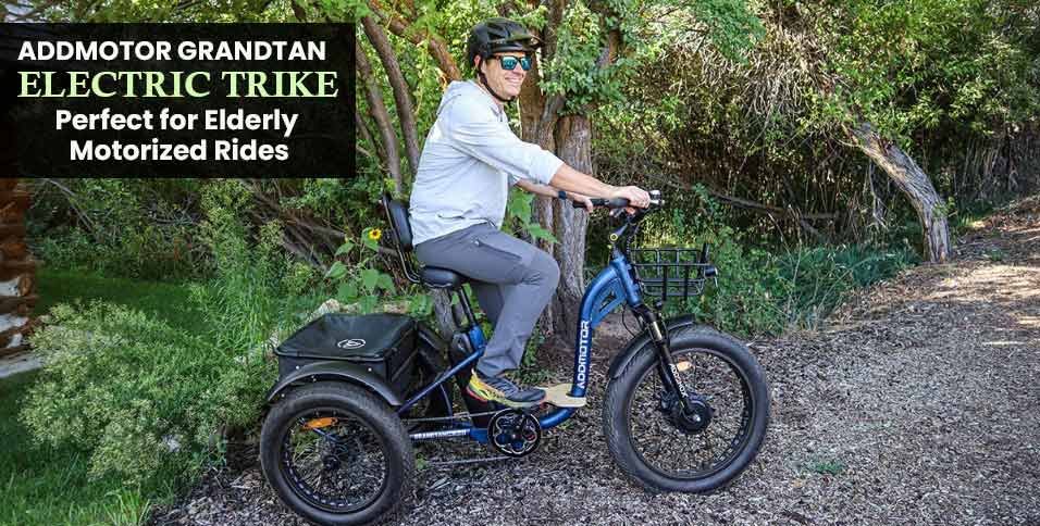 Electric Trike