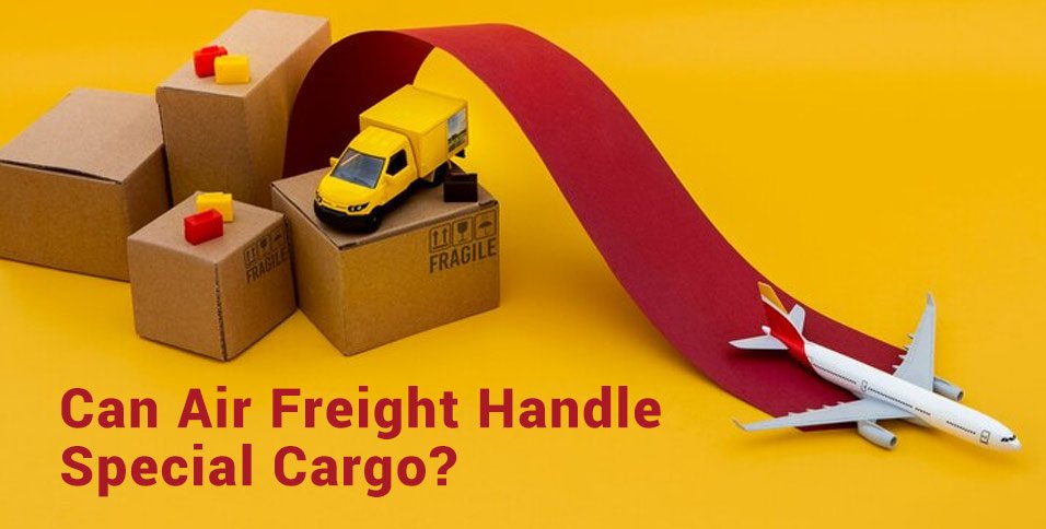 Air Freight Handle Special Cargo