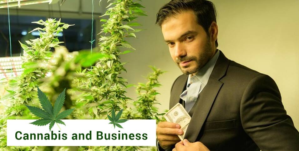 Cannabis and Business