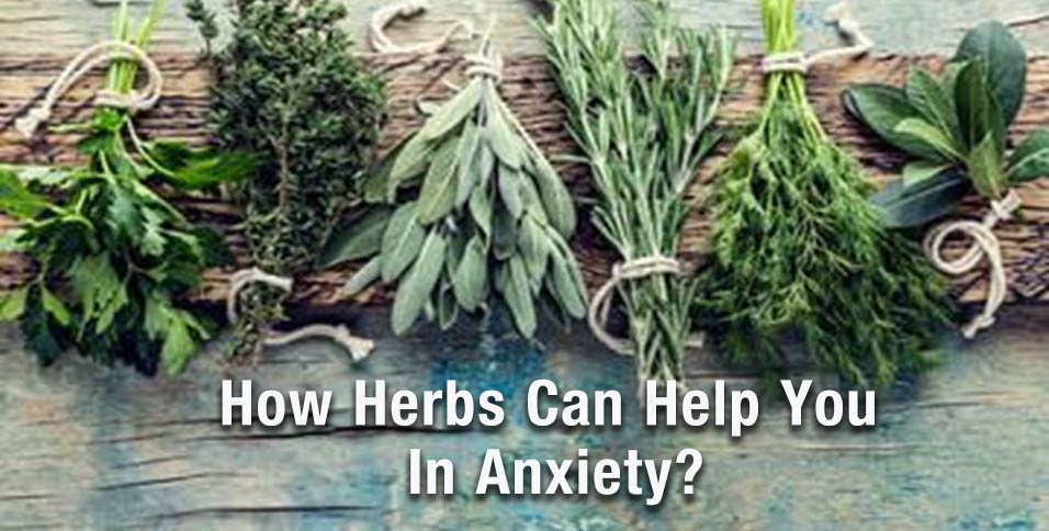 Herbs Can Help You In Anxiety