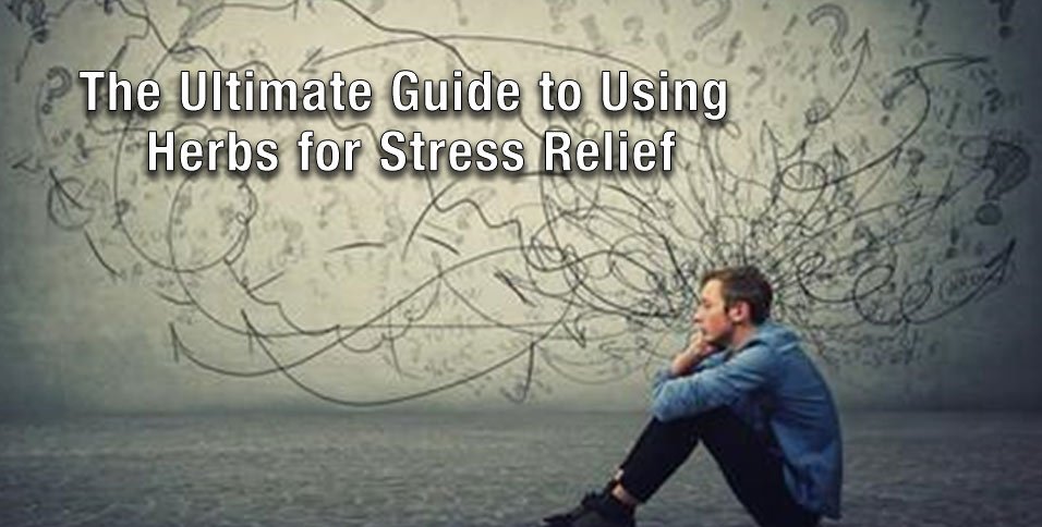 Herbs for Stress Relief