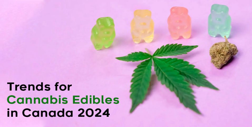 Cannabis Edibles