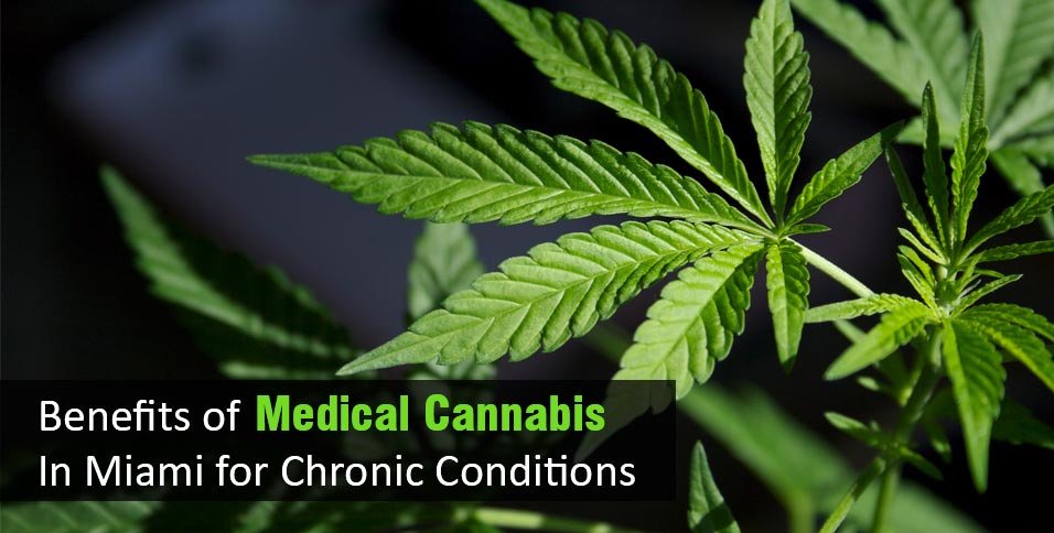 Benefits of Medical Cannabis