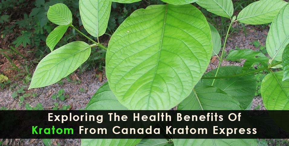 Health Benefits Of Kratom