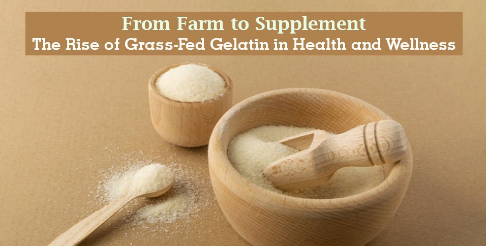 Grass-Fed Gelatin