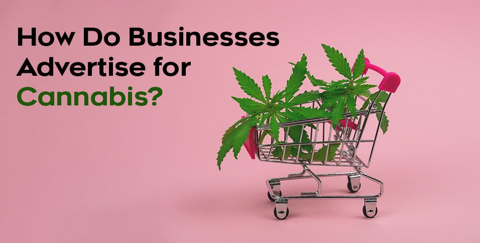 Businesses Advertise for Cannabis
