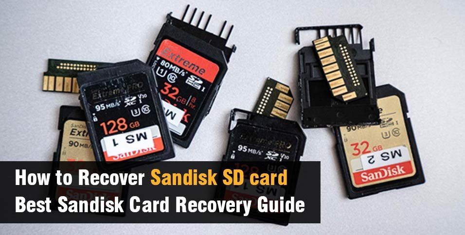 Sandisk SD card
