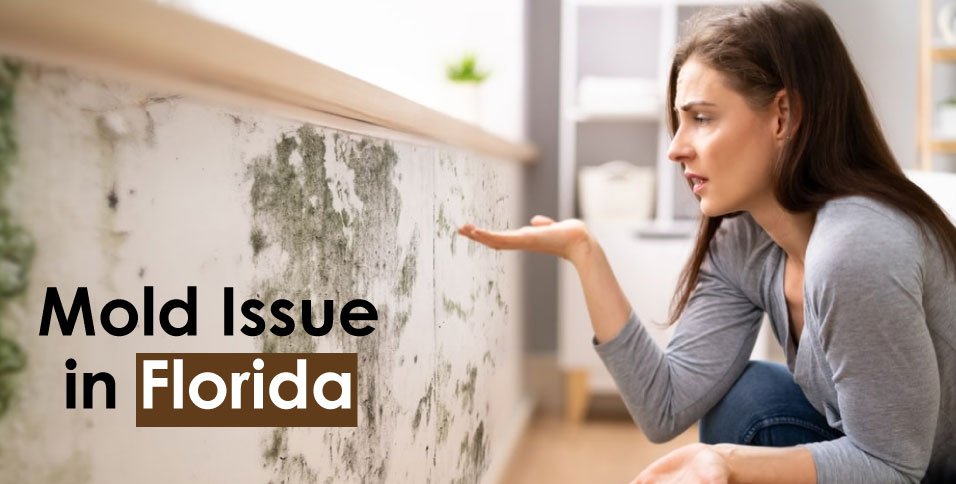 Mold Issue in Florida