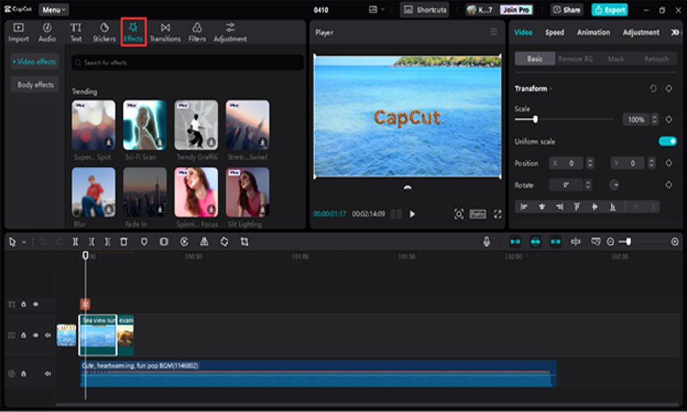 Enrich Your Clip with Video Effects
