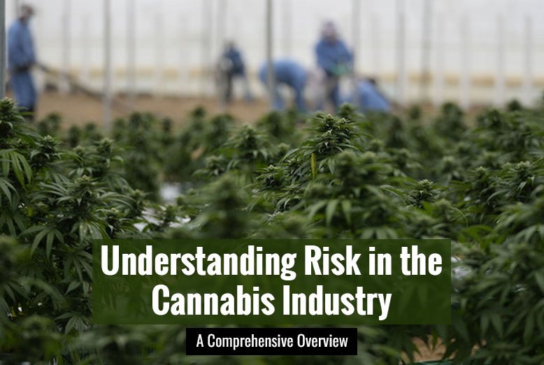 Risk in the Cannabis Industry