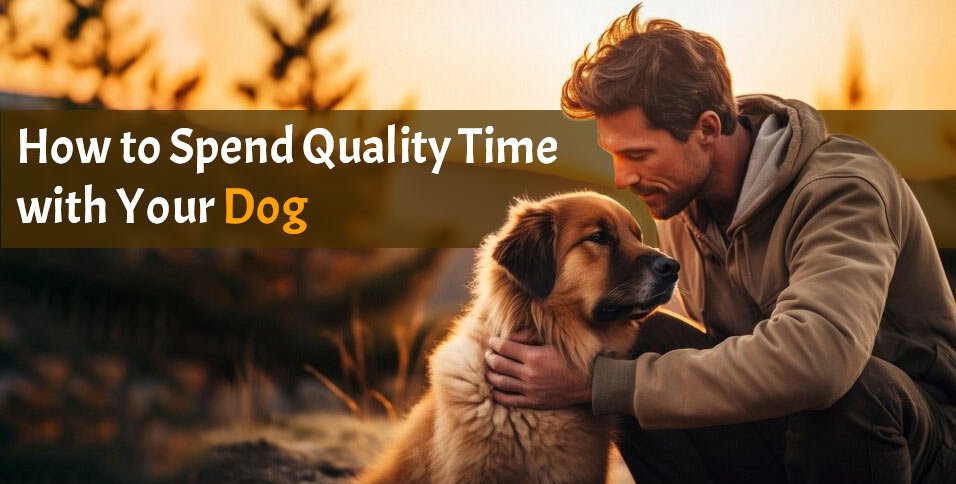 Spend Quality Time with Your Dog