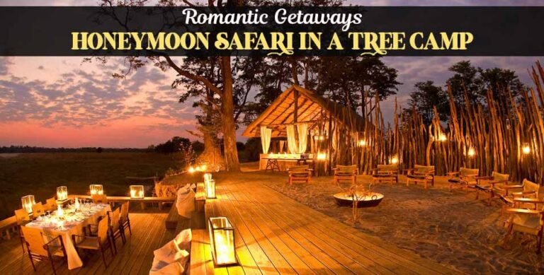 Honeymoon Safari in a Tree Camp
