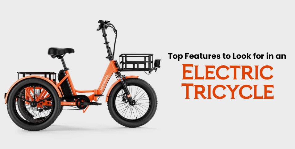 Electric Tricycle