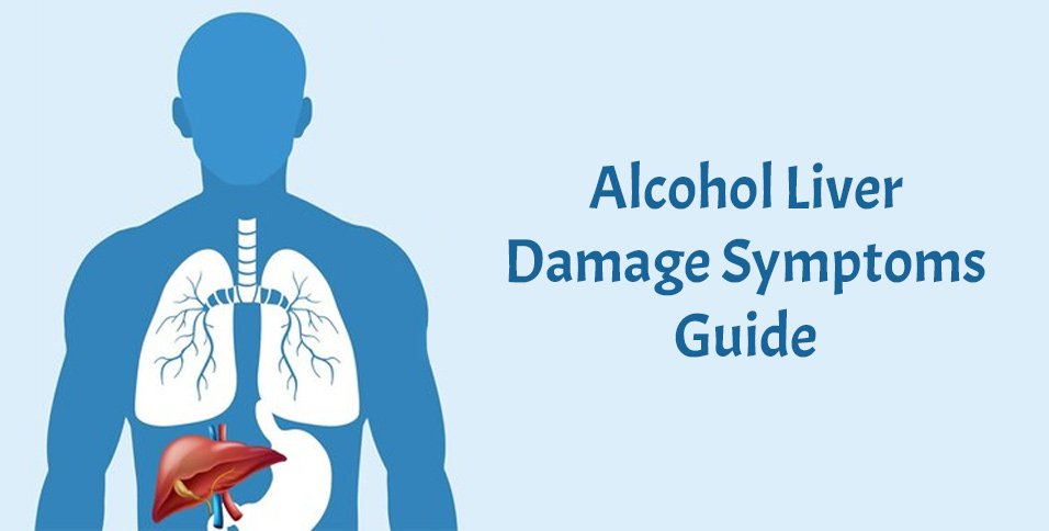 Alcohol Liver Damage