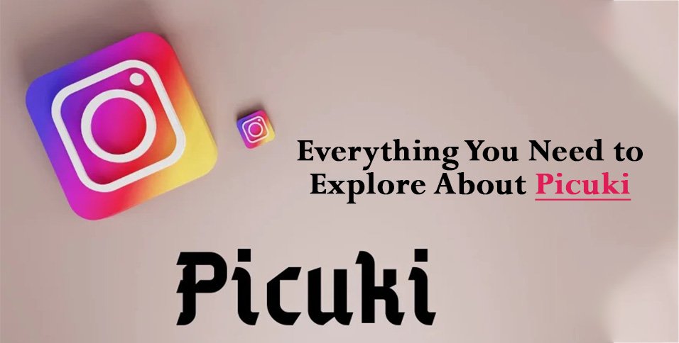 Explore About Picuki