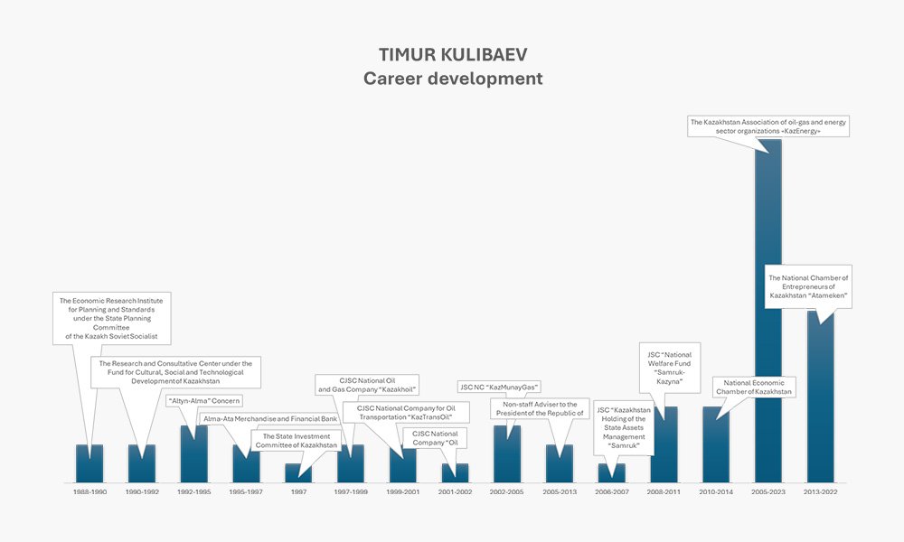 Kulibaev Timur Career