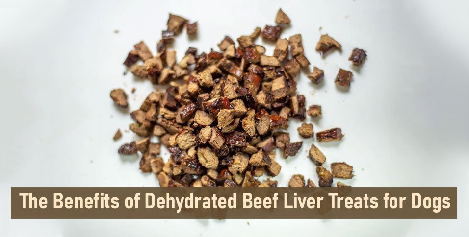 Dehydrated Beef Liver Treats