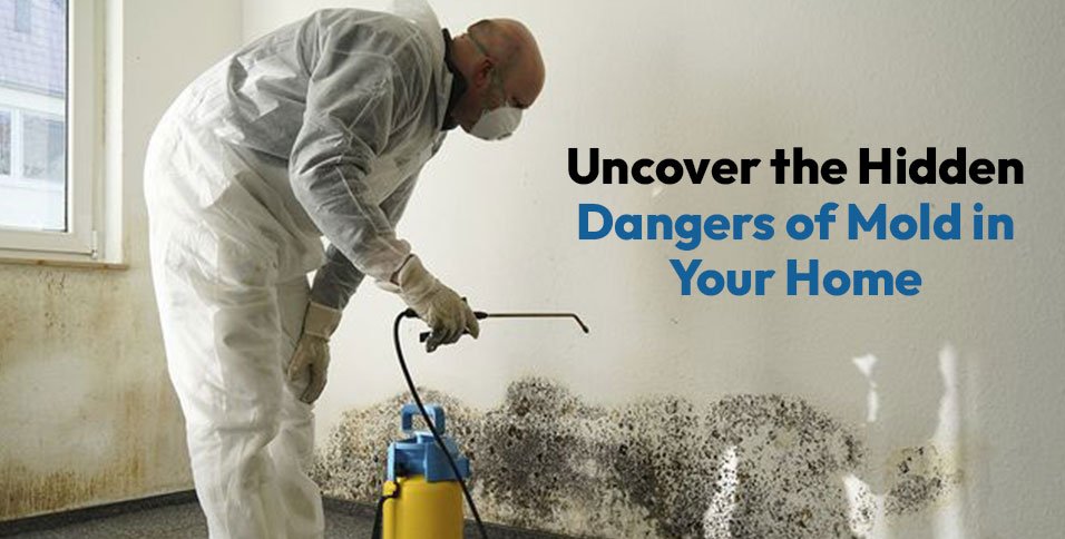 Hidden Dangers of Mold