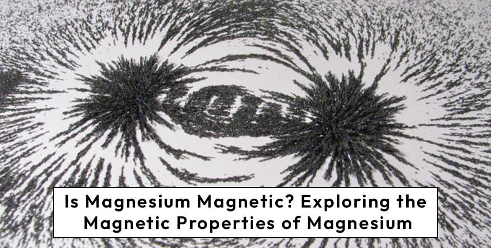 Magnetic Properties of Magnesium