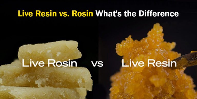 Live Rosin vs. Live Resin