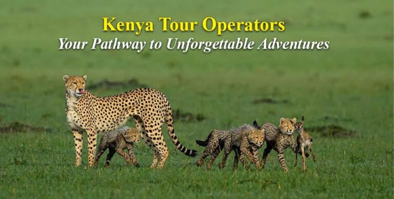 Kenya Tour Operators