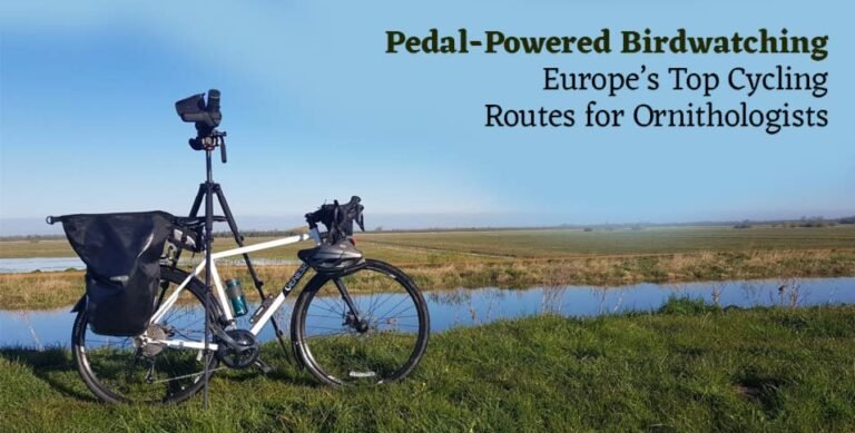 Pedal-Powered Birdwatching