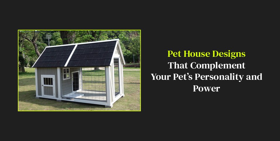 Pet House Designs