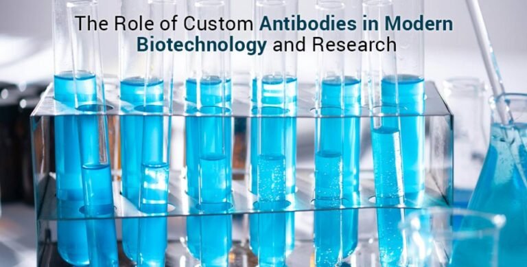 Role of Custom Antibodies