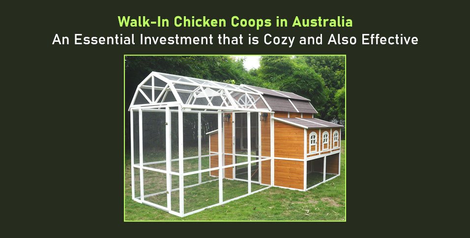 Walk-In Chicken Coops in Australia