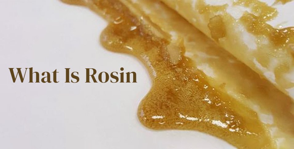 What Is Rosin