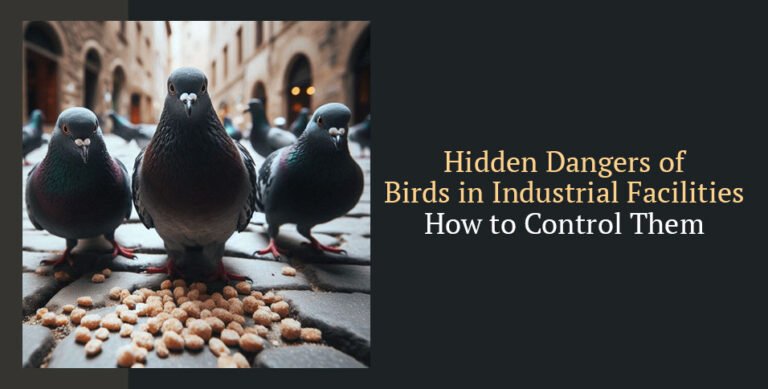 Birds in Industrial Facilities