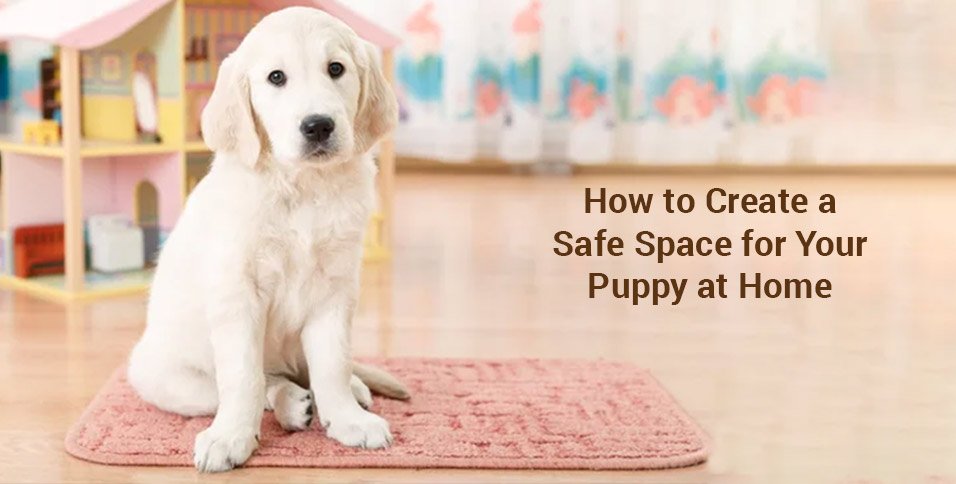 Safe Space for Your Puppy at Home