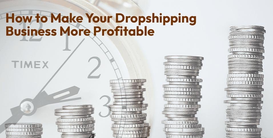 Dropshipping Business