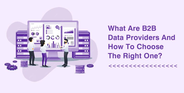 B2B Data Providers